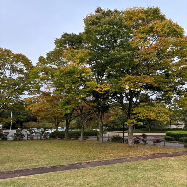 紅葉が始まっています。

#グリーンピア岩沼
#岩沼市
#岩沼
#いわぬま
#紅葉