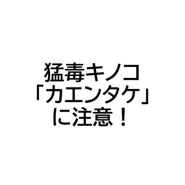 散策路周辺でカエンタケが確認されました。カエンタケは毒性が強く、誤って食べると死に至る可能性があり、非常に危険です。触れるだけで皮膚がただれることがありますので、絶対に触らないでください。

#グリーンピア岩沼
#岩沼市
#岩沼
#いわぬま
#毒キノコ
#カエンタケ