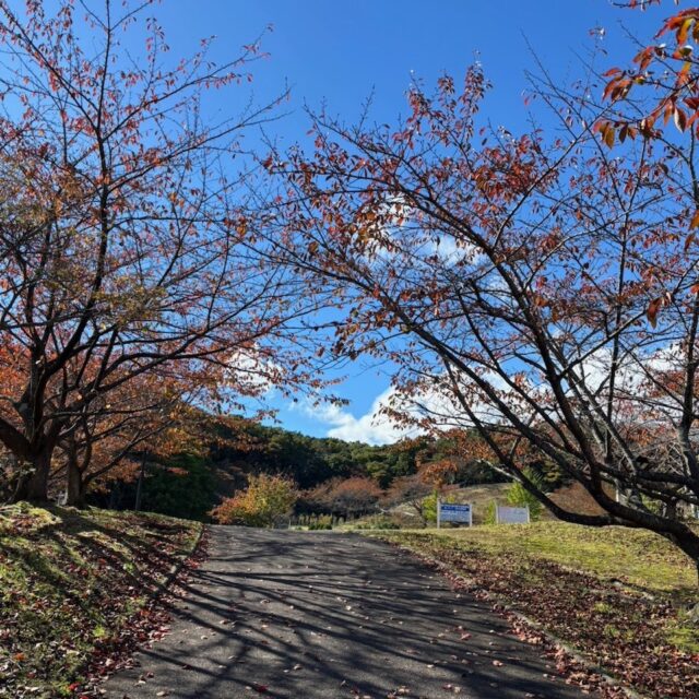 すっかり秋です。

#グリーンピア岩沼
#岩沼市
#岩沼
#いわぬま
#秋
#紅葉