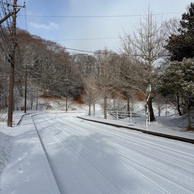 雪景色です。朝９時頃の写真です。

#グリーンピア岩沼
#岩沼市
#岩沼
#いわぬま
#雪
#雪景色
#冬