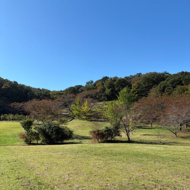 雲一つない青空です！

#グリーンピア岩沼
#岩沼市
#岩沼
#いわぬま
#秋
#青空